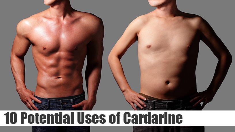 10 Potential Uses of Cardarine