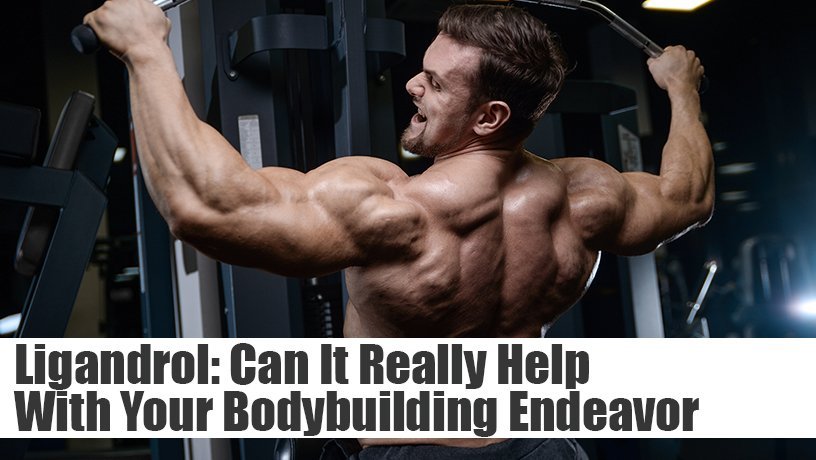 Ligandrol: Can It Really Help With Your Bodybuilding Endeavor